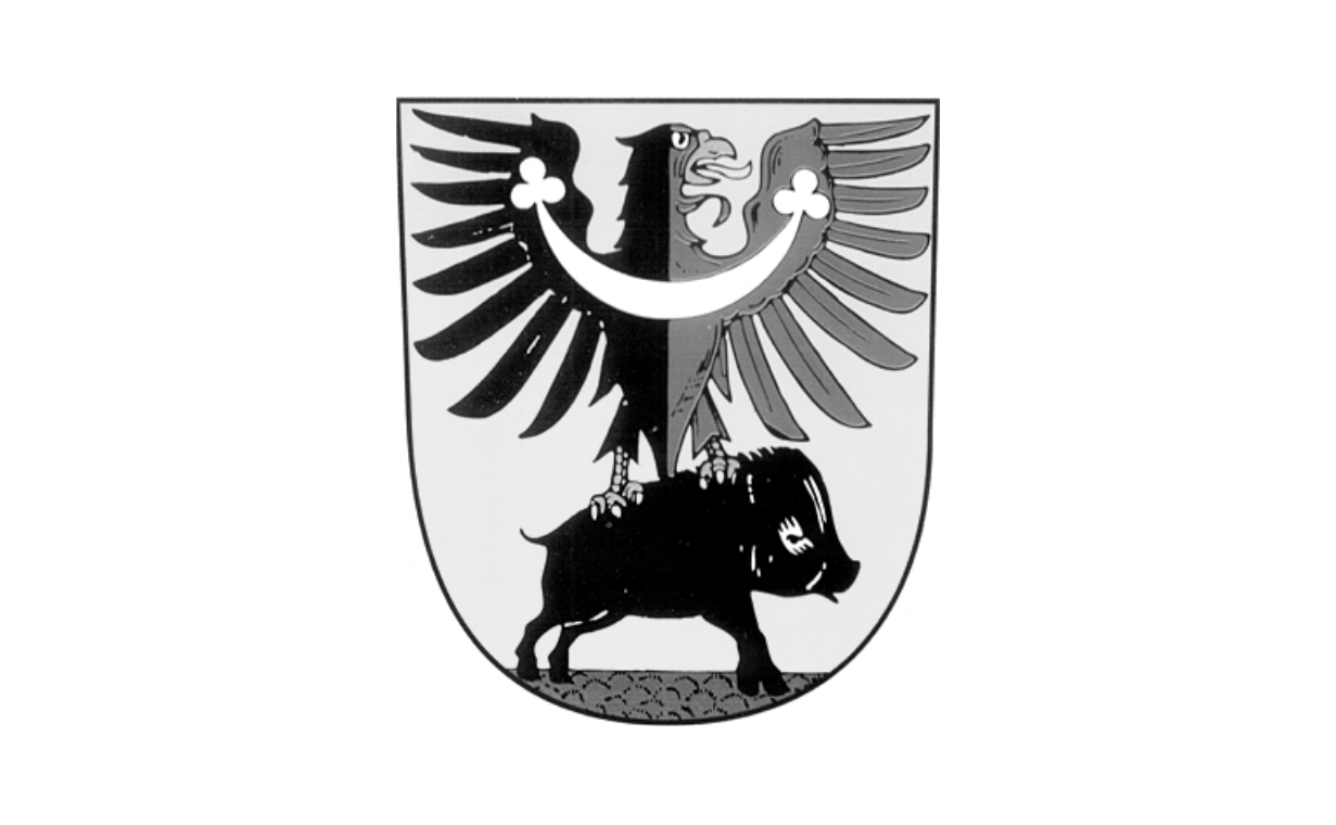 Projekt - CZ.11.2.45/0.0/0.0/18_029/0001881 - Město Žamberk